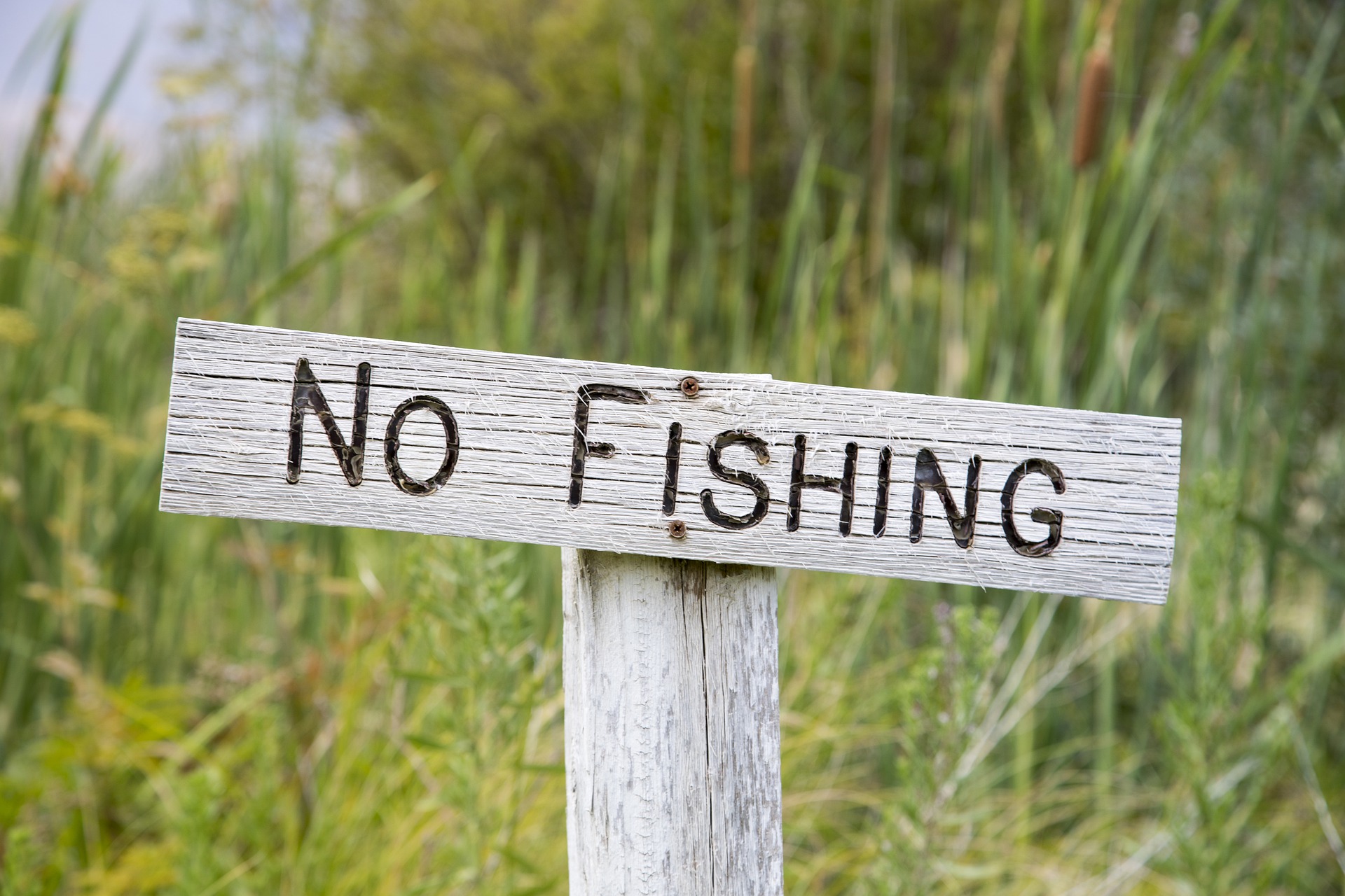 Don t Go Fishing Daily Family Devotions Don t go fishing daily family devotions