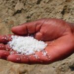 Grace, Salt and Fitting Answers