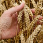 Prosperity Lessons in the School of God