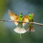 Breaking the Monotony of Life