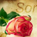 Because God Forgives You…