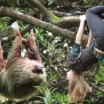As Thankful As A Sloth