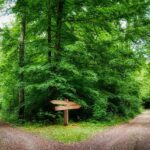 The Danger of Indecision