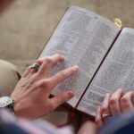 The Best Place to Look for Role Models