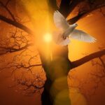How to Walk in the Spirit
