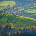 Trusting God Through the Seasons